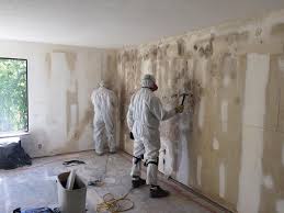 Rose Hills, CA Mold Removal & Remediation Company